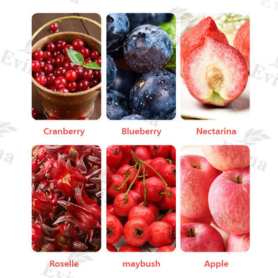 Té de desintoxicación Yoni 100% natural y de alta resistencia con arándanos 24 meses de vida útil