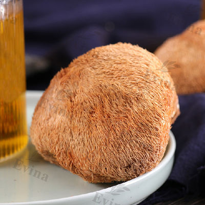 Té de estómago para la recuperación de úlceras y protección de la mucosa gástrica intestinal en adultos