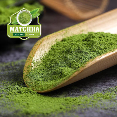 Polvo de matcha orgánico 100% natural para la ceremonia tradicional de té japonesa